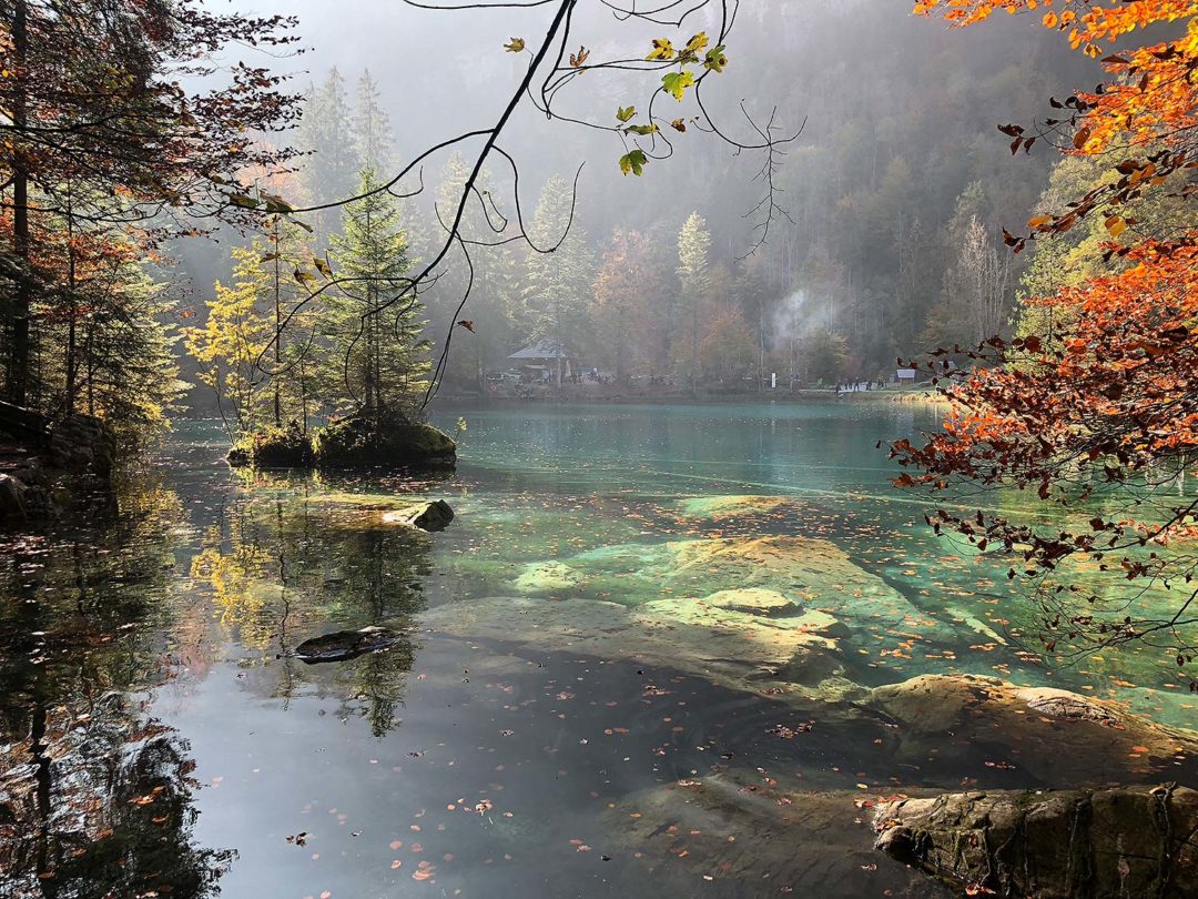 blausee schweiz berner oberland