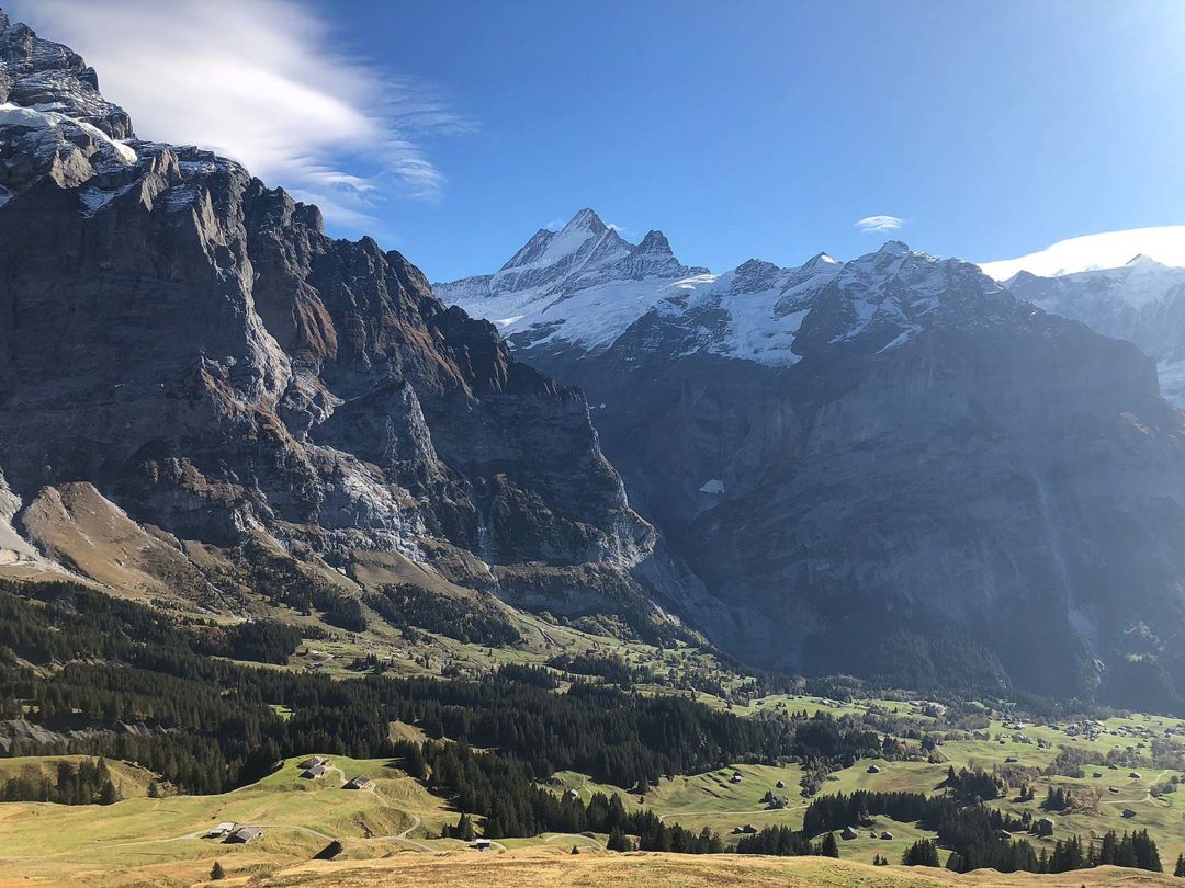 grindelwald