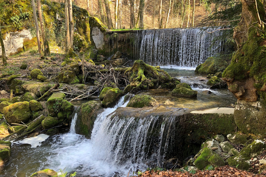 holzweg thal naturpark soloturn