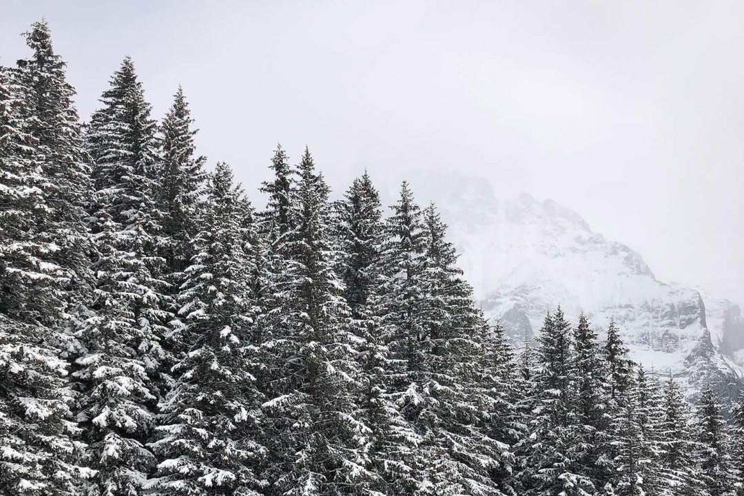 zeilenwanderer weihnachten
