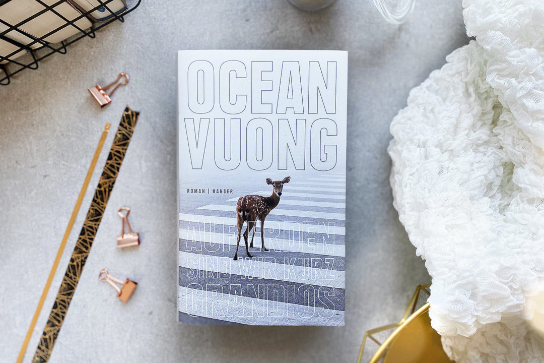 ocean vuong hanser literatur