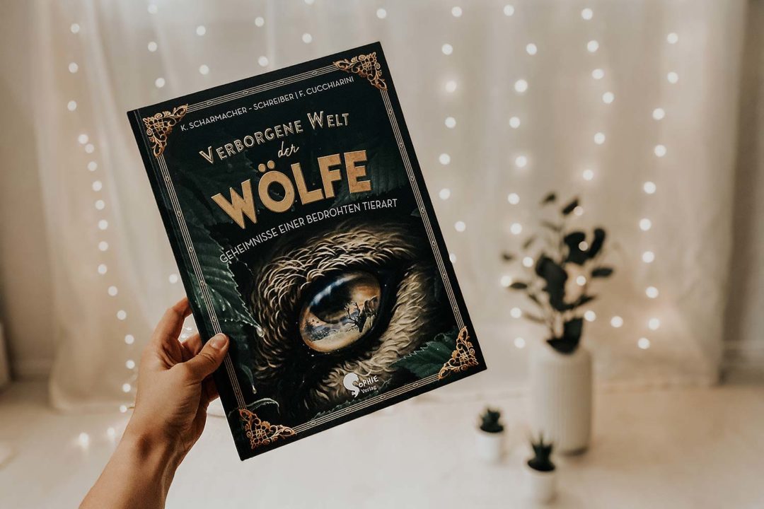wölfe sachbuch kinder buch